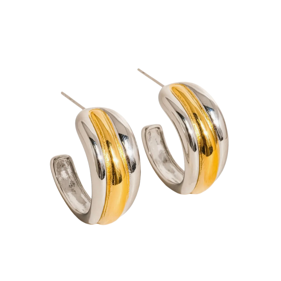 The Two Toned Earrings